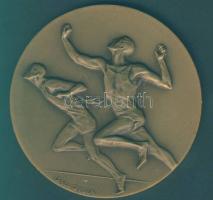 1976. "Komárom-Nemzetközi Futóverseny" Br emlékplakett. Szign: Gáll Gyula T:2