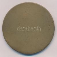 Gárdos Aladár (1878-1944) 1918. "Dr. Balassa József" Br emlékérem. "DR. BALASSA JÓZSE...