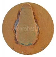 ~1900. "Magyar Mérnök- és Építész Egylet" zománcozott Br gomblyukjelvény (35mm) T:2