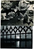 Dulovits Jenő (1903-1972) budapesti fotóművész hagyatékából 2 db vintage fotó, az egyik aláírt, a másik pecséttel jelzett 8,5x11 cm és 7,4x10,5 cm
