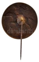 Szamosi Soós Vilmos (1885-1972) 1920. "Magyar Nemzeti Szövetség 1919" Br jelvény (27mm) T:...