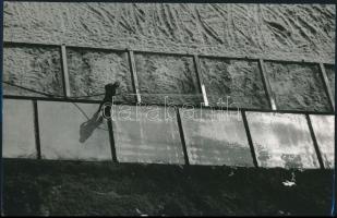 cca 1978 Zsigri Oszkár (1933-?) budapesti fotóművész hagyatékából 3 db vintage fotó, kettő jelzett, ...