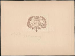 cca 1928 Székely Aladár (1870-1940) budapesti fényképész aláírt, matricával jelzett, vintage fotója,...