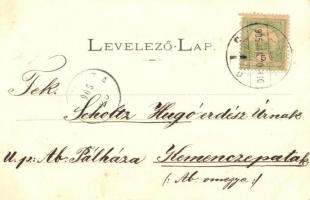 1905 Eperjes, Presov; Collegium, Elemi iskola, szövetkezeti üzlet. Fénynyomat Divald műintézetéből /...