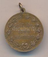 1899. "Petőfi - Bem / Emlék Érem 1899. március 15." Br emlékmedál füllel, mellszalag nélkü...