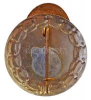 ~1930-1940. "Állami Csokonai Vitéz Mihály Gimnázium" zománcozott jelvény (21,5x24mm) T:2