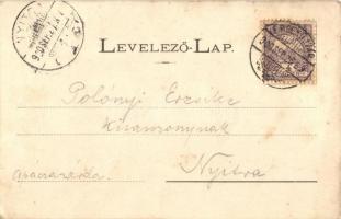 1900 Érsekújvár, Nové Zámky; Szálloda, Kossuth tér, Városháza télen. Kiadja Mayer fényképész / hotel...