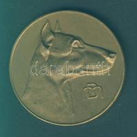 Kutyakiállítási DN Br díjérem T:2