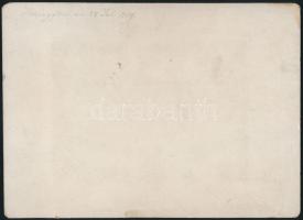 1879 Vy af Helsingfors, Helsinki látképe, fotó, kartonra ragasztva, Carl Adoplh Hardh műterméből, há...