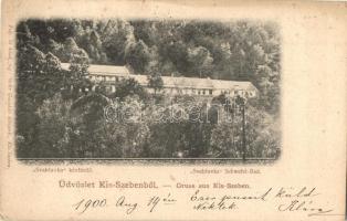 1900 Kisszeben, Sabinov, Zeben; Svabluvka kénfürdő. Stehr Gusztáv felvétele és kiadása / Schwefel Bad / sulfur spa, bathing hall (EK)