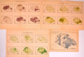 1893 Az országos cigány-összeírás néprajzi térképei. 4 db nagyméretű (48x35 cm) + 1 térképlap