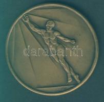 1923. "Pécsi Egyetemi Atlétikai Club" Br emlékplakett. Szign:Ludvig T:2