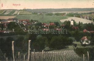 1907 Baltavár, Bérbaltavár;  szőlőhegy (EK)