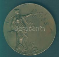 DN "Nagykanizsa a Zrínyiek városa" régi Br emlékérem szign:Arkanzas T:2
