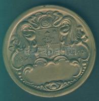 1934. "Szombathelyi ünnepi hét" Br emlékérem. Szign:P.J. T:2