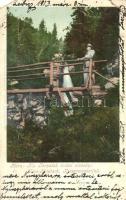 Tátra, Magas Tátra, Vysoké Tatry; Kis Tarpatak óriási vízesése, fahíd. Kiadja Cattarino 127. / Klein Kohlbach Riesenwasserfall / Studená dolina vodopád / waterfall, wooden bridge (EM)