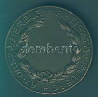 1930. "A tiszta ifjúság az ország ereje" Br emlékérem. Szign:Csiszér T:2