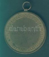 1934. "Bajai Emlékmű Bizottság" Br emlékérem T:2
