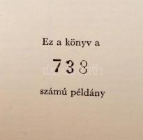 Vegyes könyvtétel, 6 db: 

Közte 4 db mini könyv: Andruskó Károly: Lendava, Újtamás,Typo, Az Új Sz...