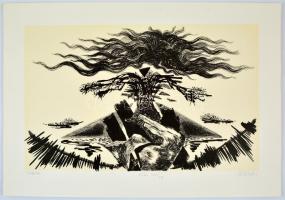 Velekei József Lajos (1950): A lélek átváltozásai (mappa).  Litográfia, papír, jelzett, egy mű hiány...