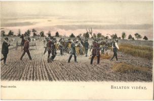 Balaton vidéke, Praxi-munka. D.K.F.E. 903.