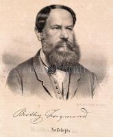 1868 Nefelejts. Szépirodalmi és képes hölgydivatlap. X. évf. 1-52. sz. Felelős szerkesztő és kiadó: ...