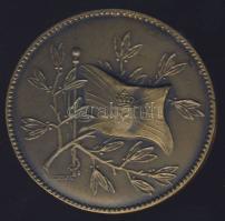 DN "Műegyetemi Evezős Club" régi Br emlékérem. Szign:Ludvig T:2