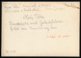 cca 1910 Magas-Tátra, a Koncsiszta és a Gerlachfalvi-csúcs a turistaútról, Erdélyi Mór felvétele, há...