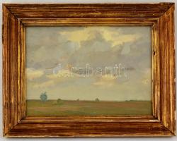 Szegedi Molnár Géza (1906-1970): Alföldi táj. Olaj, karton, jelzett, üvegezett keretben, 26×35 cm