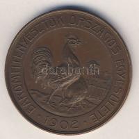 1913. "Baromfitenyésztők Országos Egyesülete" Br emlékérem T:2