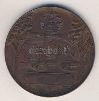 DN "Stadion-Debrecen" régi Br emlékplakett T:2