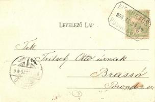 1905 Balassagyarmat, Kaszinókert. Wertheimer Zsigmond kiadása + KISKÜRTÖS POSTAI ÜGYN