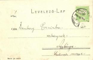 1914 Budapest I. Tabán, Szent Gellérthegyi tájkép, utcakép / Aussicht vom Blocksberg