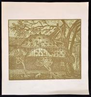 Somlai Vilma (1938-2007): Törökfürdő Budán, színes linó, papír, jelzett, 29,5×36 cm