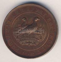 1907. "Postagalamb Sportegyesület" III.helyezett Br díjérem T:2