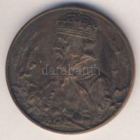 DN cca.:1900-as évek eleje "Szt.István Heti Mezőgazdasági Kiállítás" Br emlékplakett T:2