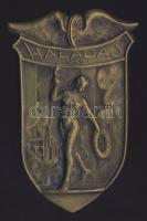 DN "Haladás VSE" régi Br emlékplakett T:2