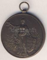 1928. "Magyar Atlétikai Szövetség versenydíja" Br emlékérem T:2