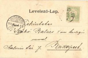 1902 Újhartyán, Fő utca, templom, falubeliek