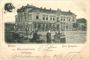 1899 Gyulafehérvár, Karlsburg, Alba Iulia; Hungária szálloda, piaci árusok, Cs. Kiss M. és Fürst üzlete / hotel, market vendors, shops