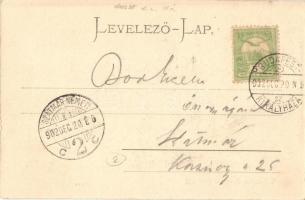 1902 Nagykároly, Carei; zárda. Csókás László kiadása / nunnery + BUDAPEST-KIRÁLYHÁZA mozgóposta