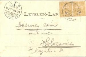 1901 Sepsiszentgyörgy, Sfantu Gheorghe; Kossuth tér, piac magyar zászlókkal, Református templom. Ger...