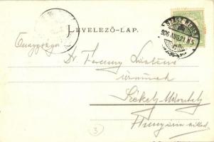 1906 Szászrégen, Reghin; Kereszt utca. Gust. Rösler kiadása / Kreutzgasse / street