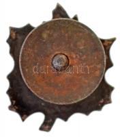 Lengyelország DN "PTTK" zománcozott fém túrajelvény (20x25mm) T:2
Poland ND "PTTK&qu...