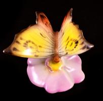 Drasche pillangó, kézzel festett, jelzett, apró kopásokkal, m: 4,5 cm