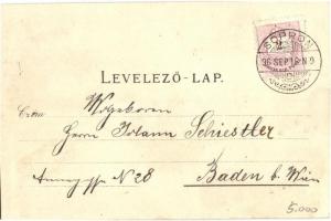 1896 (Vorläufer!!!) Sopron, Oedenburg; Várostorony, látkép, Színház, Széchenyi tér. Art Nouveau, flo...