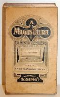 cca 1910 A Magas Tátra turistatérképe 50x70 cm / Turist map of the Tatra