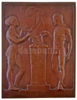 Berán Lajos (1882-1943)(?) DN egyoldalas Br plakett, áldozó oltár, női- és férfiakttal (78x100mm) T:1-,2