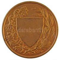 Berán Lajos (1882-1943) ~1925. "Országos Testnevelési Tanács" aranyozott Br emlékérem (60m...