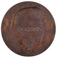 Karácsonyi Géza (1880-1962) 1949. "ÉVÁNAK 1949 XII 24" egyoldalas Br plakett (127mm) T:1-